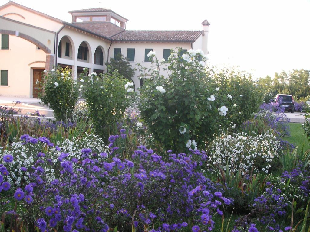 Agriturismo Due Torri Montebelluna Kültér fotó