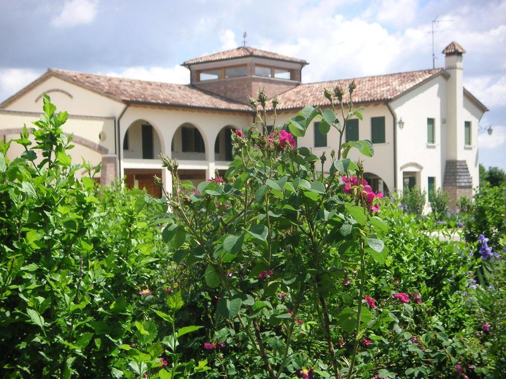 Agriturismo Due Torri Montebelluna Kültér fotó